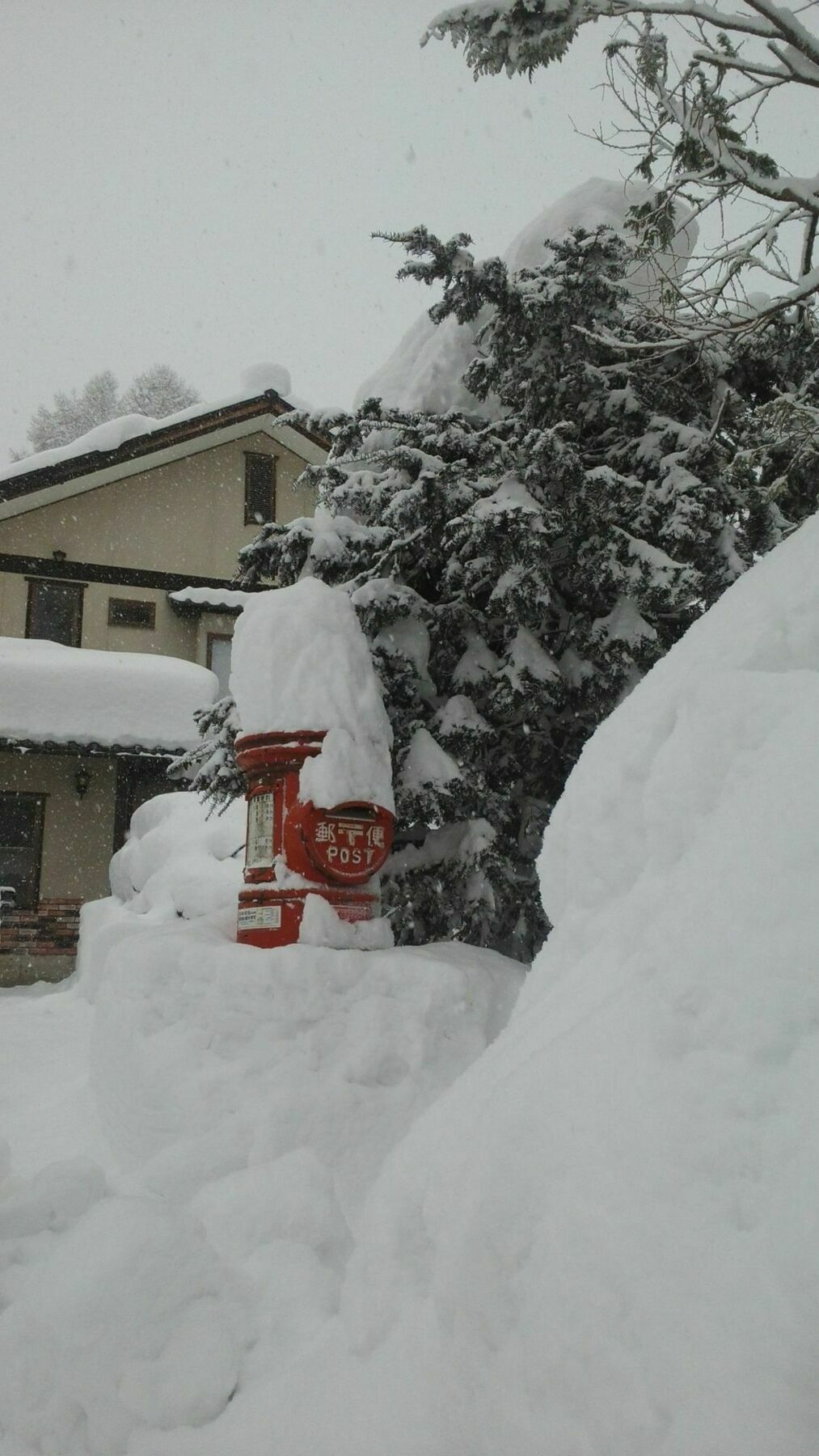 Sakka Sanso Villa Hakuba Exterior photo